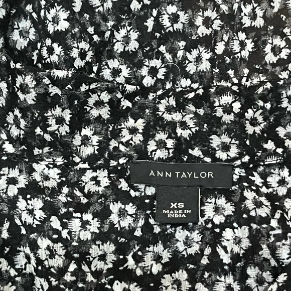 Ann Taylor Sheer Blouse - Picture 3 of 4